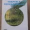 TREPTELE NEDESAVARSIRII-PAVEL CHIHAIA-232264