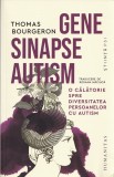 Gene, sinapse, autism - Thomas Bourgeron