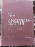 myh 31s - Victor Papilian - Anatomia omului - 2 volume - ed 1979