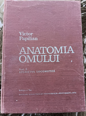 myh 31s - Victor Papilian - Anatomia omului - 2 volume - ed 1979 foto