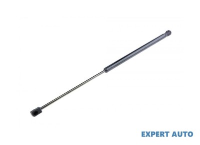 Amortizor gaz ridicare hayon portbagaj BMW Seria 3 (1998-2005) [E46] #1 foto