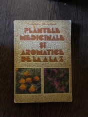 Ovidiu Bojor, Mircea Alexan - Plantele medicinale si aromatice de la A la Z foto
