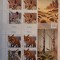 Fauna - Vulpi, minicoală de 3 timbre și 1 vinietă, 2025, LP 2507d, nominal 133.5 lei, MNH