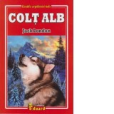 Colt alb