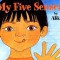 My Five Senses