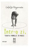 &Icirc;ntr-o zi. Terapia pumnului &icirc;n moacă - Paperback brosat - Cătălin Ungureanu - Lebăda Neagră