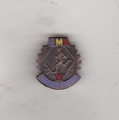 bnk ins Insigna GMA - I - Reconfirmare foto