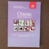 Luminita Vladescu, Luminita Irinel Doicin - Chimie pentru clasa a X-a. Culegere de teste, probleme teoretice, probleme practice