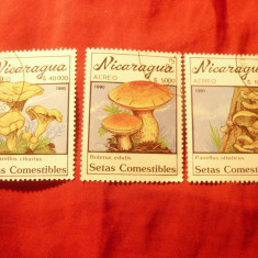 3 Timbre Nicaragua 1990 - Ciuperci , stampilate