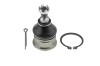 Pivot Honda Civic Eu, Ep, Es 2001-2005, NTY ZSD-HD-008