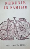 WILLIAM SAROYAN - NEBUNIE IN FAMILIE[ RAO 2007 197 PAG}