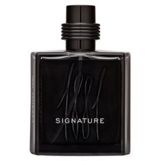 Cerruti 1881 Signature Eau de Parfum pentru barbati 100 ml foto