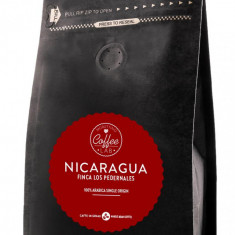 Cafea boabe specialitate Nicaragua Finca Los Pedernales Morettino