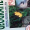 Geografie Manual clasa XI G.Erdeli,E.Matei,C.Serban 2003