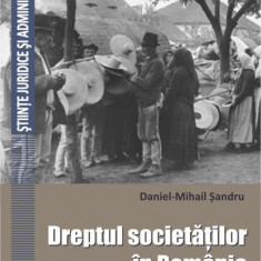Dreptul societăților în România - Paperback brosat - Daniel Mihail Şandru - Universitară