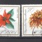 Poland 1966 Flowers, used G.248