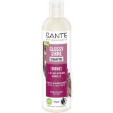 Sampon Sante Bio cu Mesteacan pentru Par Lucios, Matasos, Netezit, Stralucitor, Fortifiant, 250ml