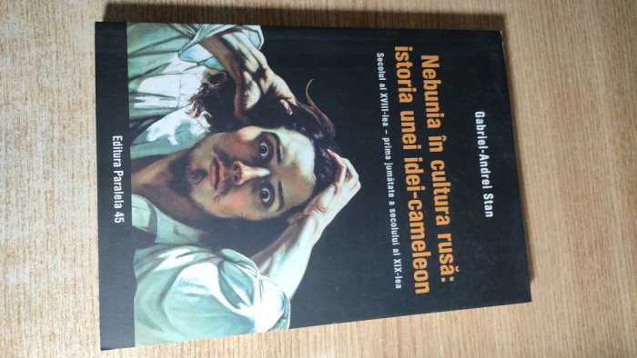 Gabriel-Andrei Stan - Nebunia in cultura rusa: istoria unei idei-cameleon (2019)