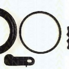 Set reparatie, etrier MINI MINI (R50, R53) (2001 - 2006) TRISCAN 8170 205476