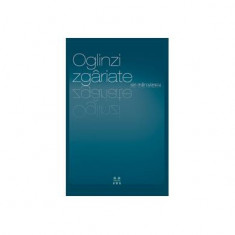 Oglinzi Zgâriate - Paperback brosat - Ion Mărculescu - Pandora M