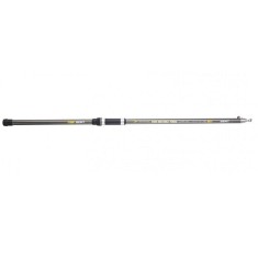 Lanseta Sert Fish Instinct FW20 3.50m 80-150gr Telepike Gold 4seg foto