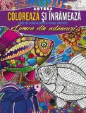 Coloreaza si inrameaza. Lumea din adancuri |
