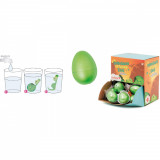 Keycraft Ou mini - Dinozaur - Jucarie inovativa pentru micii exploratori