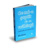 Ce mi-a soptit o vrabiuta - Biz Stone