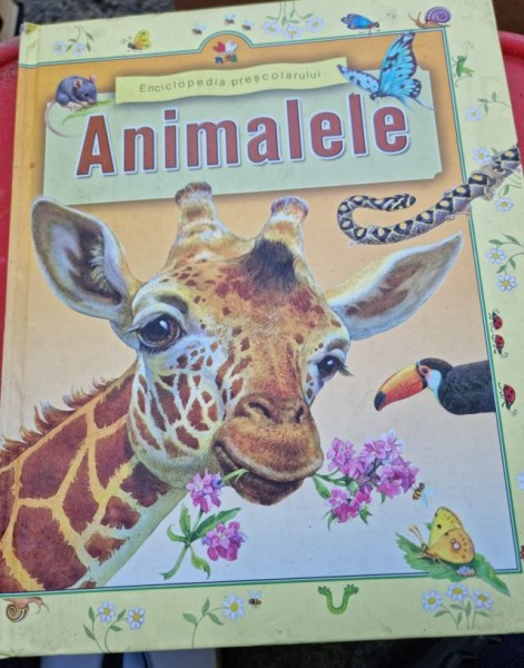 Animalele - Enciclopedia prescolarului