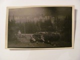 Cumpara ieftin GE - Foto (Iacubian) ilustrata &quot;Suvenir din Predeal&quot; / necirculata / interbelica