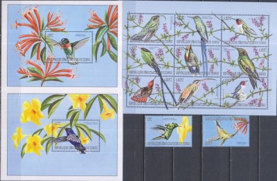 Timbre cu păsări tropicale din R.D.Congo (Kinhasa) foto
