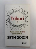 Triburi - Avem nevoie de tine sa ne conduci - Seth Godin