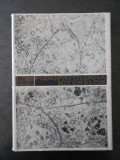 I. PAVEL - FIZIOPATOLOGIA ISTERELOR
