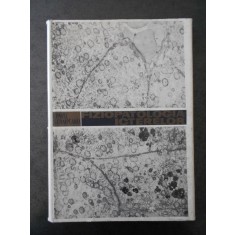 I. PAVEL - FIZIOPATOLOGIA ISTERELOR