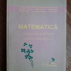 Matematica culegere pentru cl. a IX-a - Felicia Georgescu / R2F