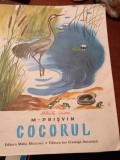 COCORUL PRISVIN