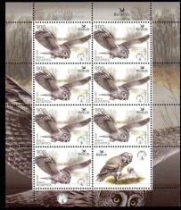 BELARUS 2005, Fauna, Pasari, serie neuzata, MNH