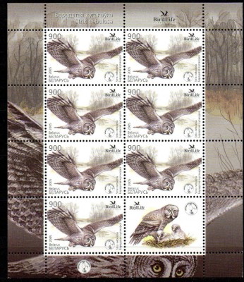 BELARUS 2005, Fauna, Pasari, serie neuzata, MNH foto