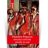 Cumpara ieftin Spatiile dintre negru si alb - Dumitru Popescu
