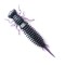 Năluca soft Fanatik Larva 2 inch culoare 007