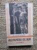 Alexandru cel Bun- C. Cihodaru