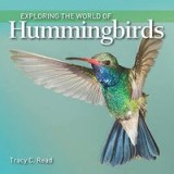 Exploring the World of Hummingbirds