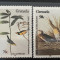 PC390 - Grenada 1985 Pasari J.J. Audubon , serie MNH, 4v