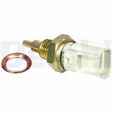 DELPHI TS10289 senzor,temperatura lichid de racire