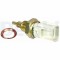 DELPHI TS10289 senzor,temperatura lichid de racire