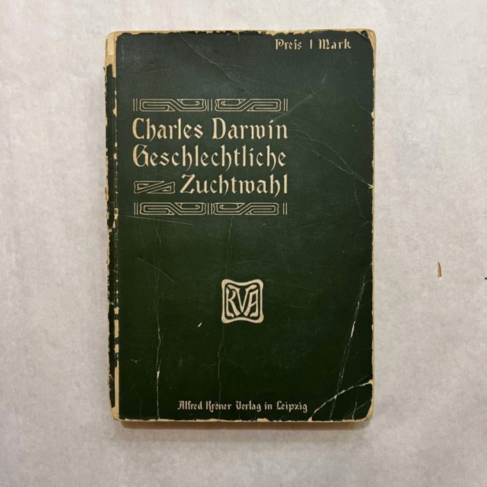 Charles Darwin - Die geschlechtliche Buchtmahl