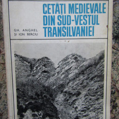 Cetati medievale din sud-vestul Transilvaniei - GH. ANGHEL si ION BERCIU