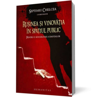 Rusinea si vinovatia in spatiu public foto