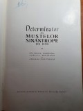 Determinator al mustelor sinatrope din RPR - anul 1962