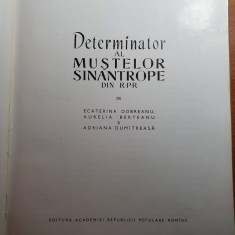 determinator al mustelor sinatrope din RPR - anul 1962